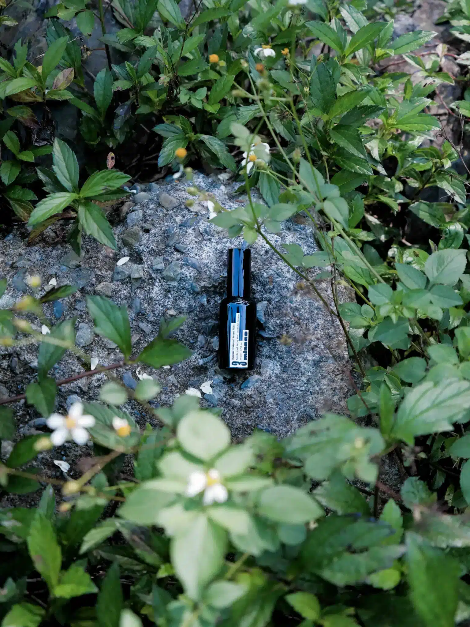 眠腦 No.2 平原 精油噴霧黑瓶置於草地與小白花間