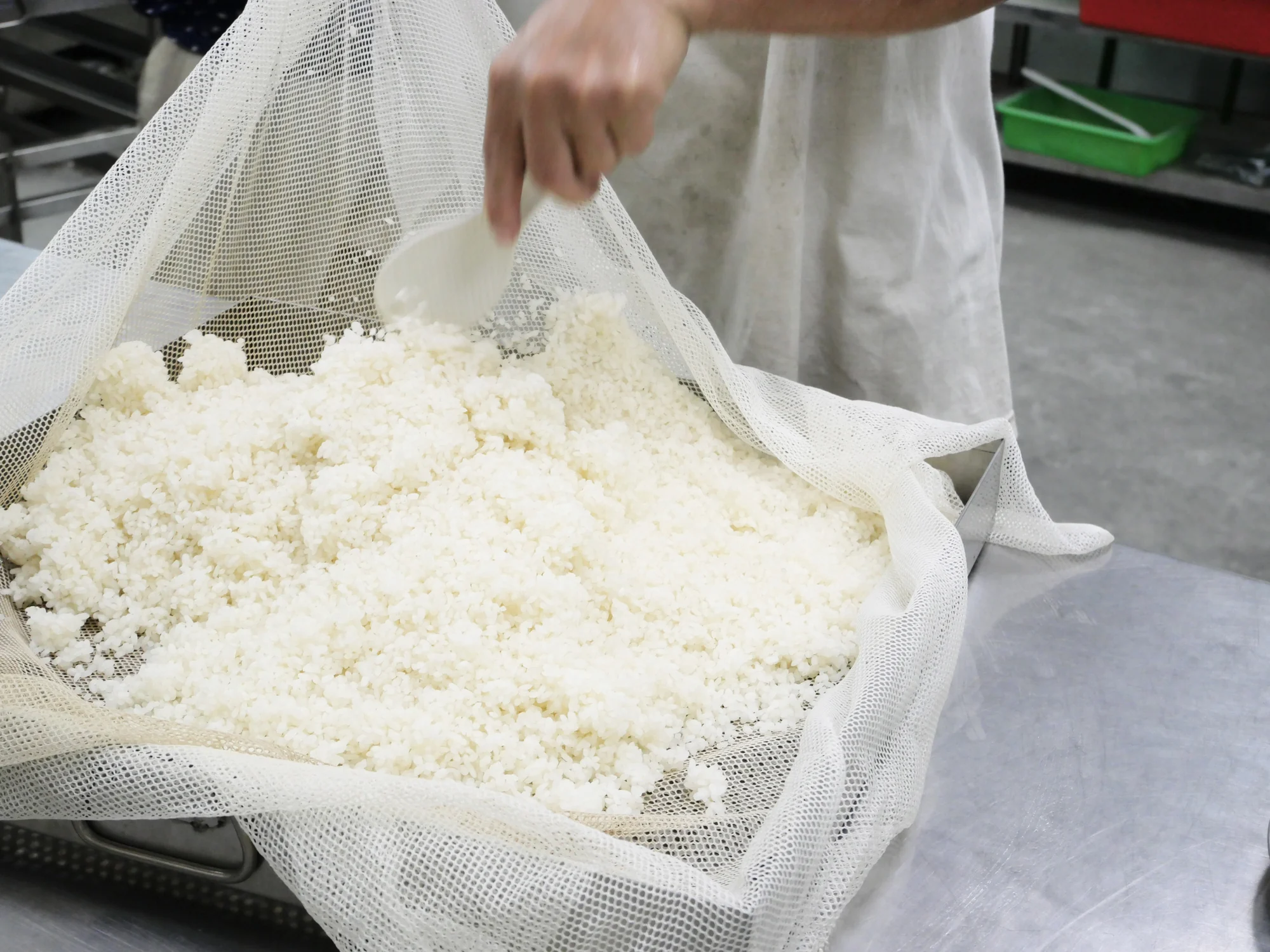 四季耕讀農園製麴當天蒸好攤開放涼的白米