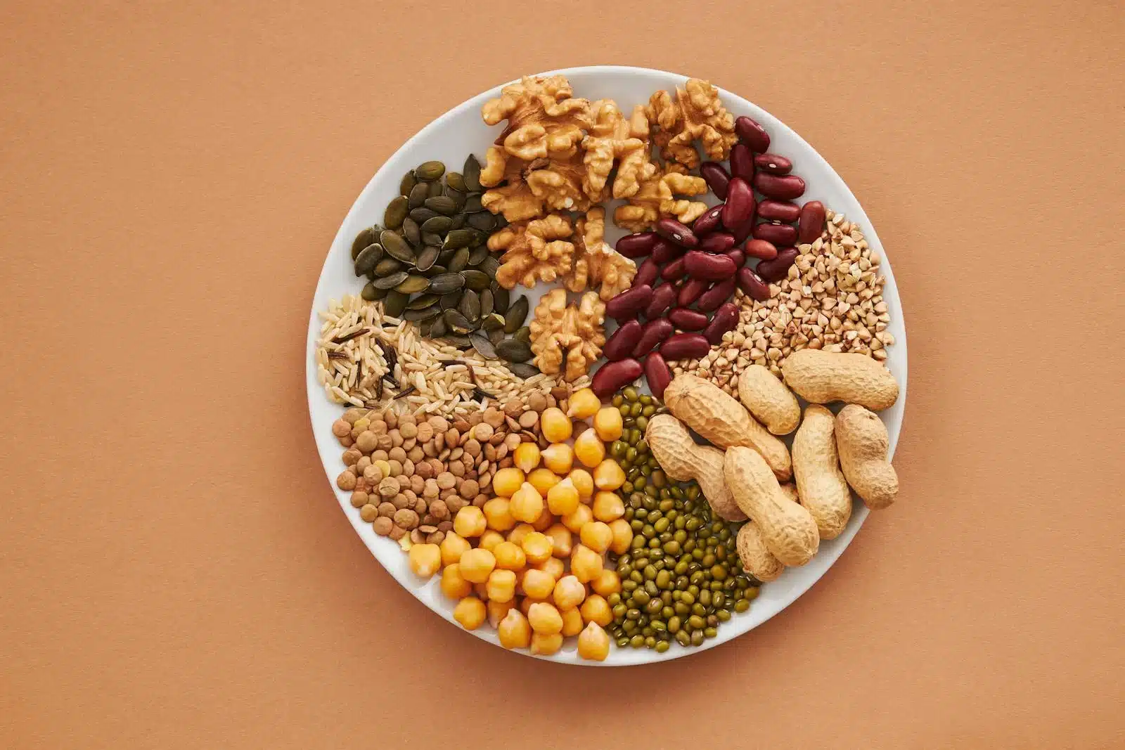 木盤上俯拍的堅果、豆類與種子，都是日常常見的蛋白質食物來源