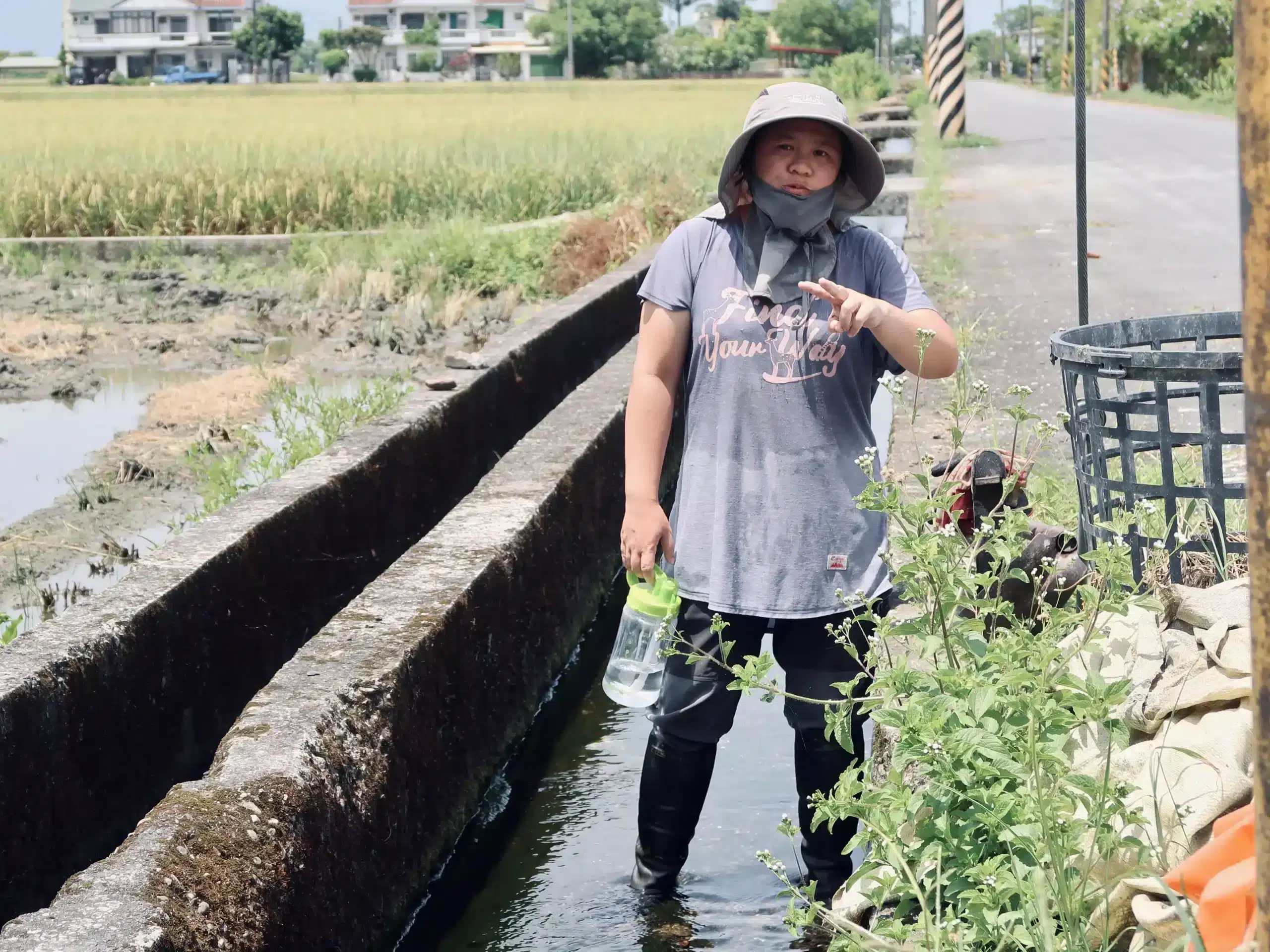 小鶹與先生在深溝田間援農的甜蜜陪伴