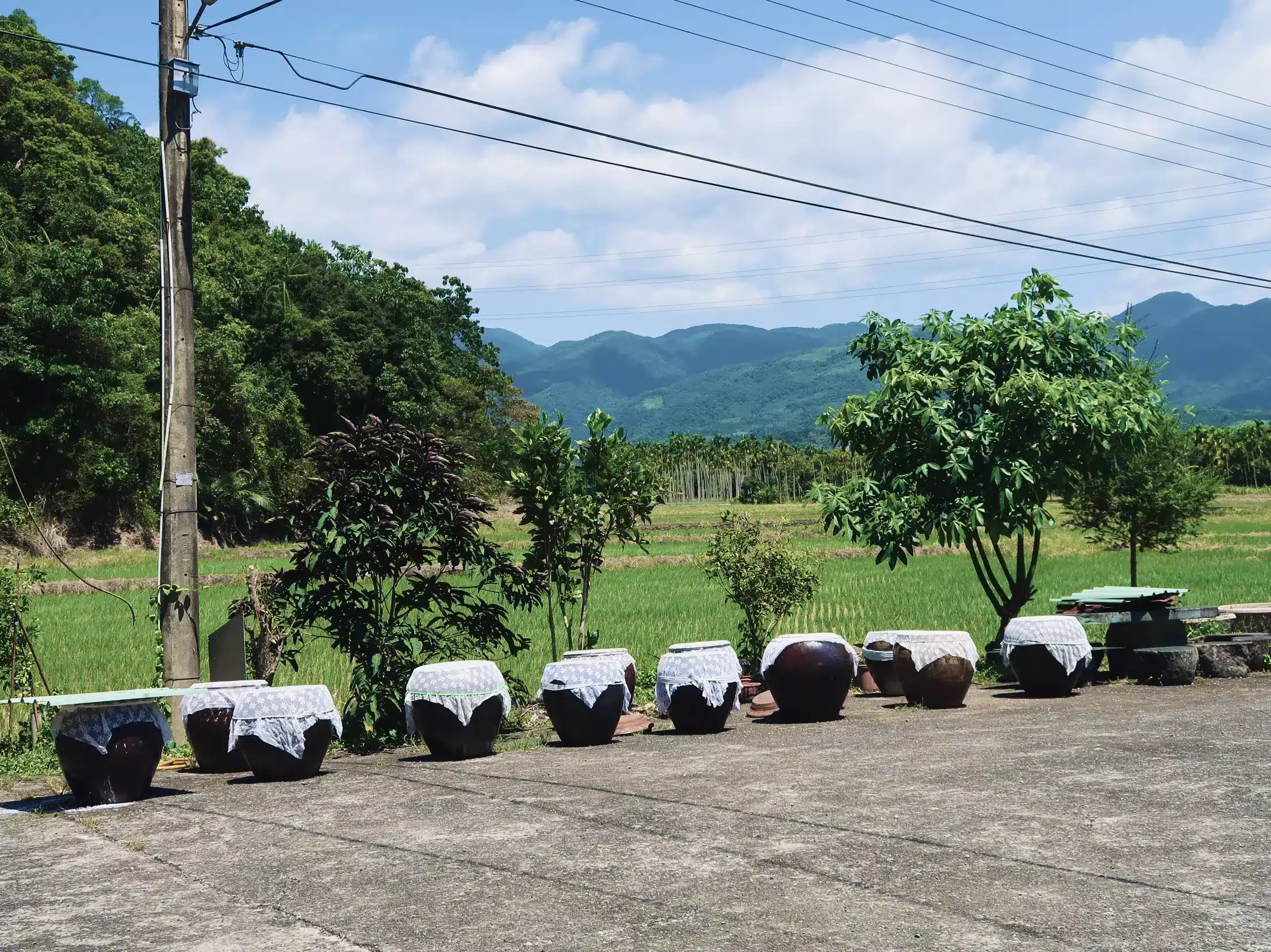島匠醬油曬醬場與老茶廠外觀