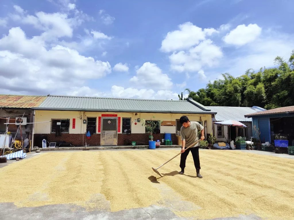 宜蘭三星文晴農場,謝宗杰友善耕作的田地