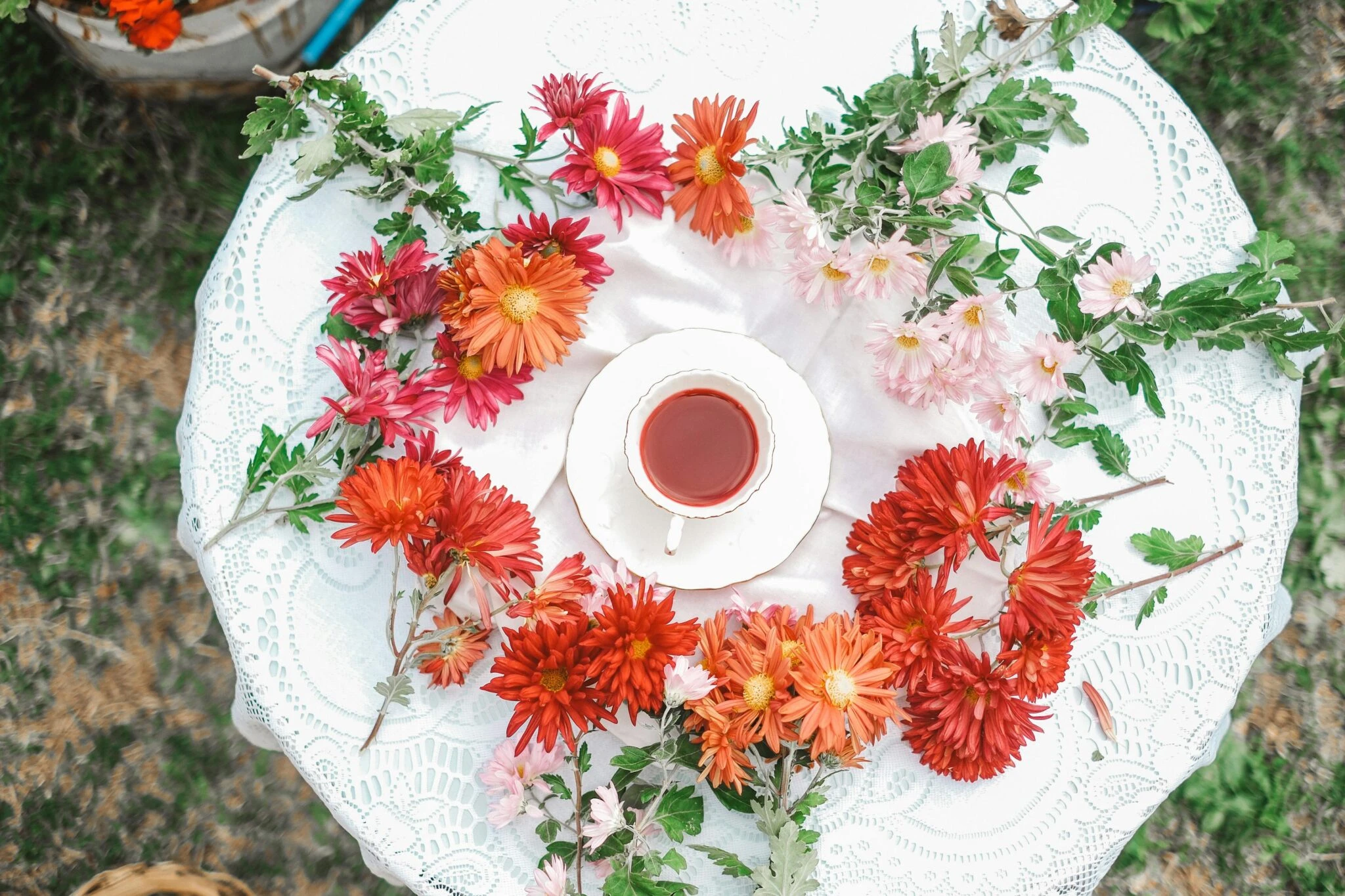 茶杯俯視擺於蕾絲桌布上的杭菊茶湯，展示熱泡與冷泡兩種沖泡方式
