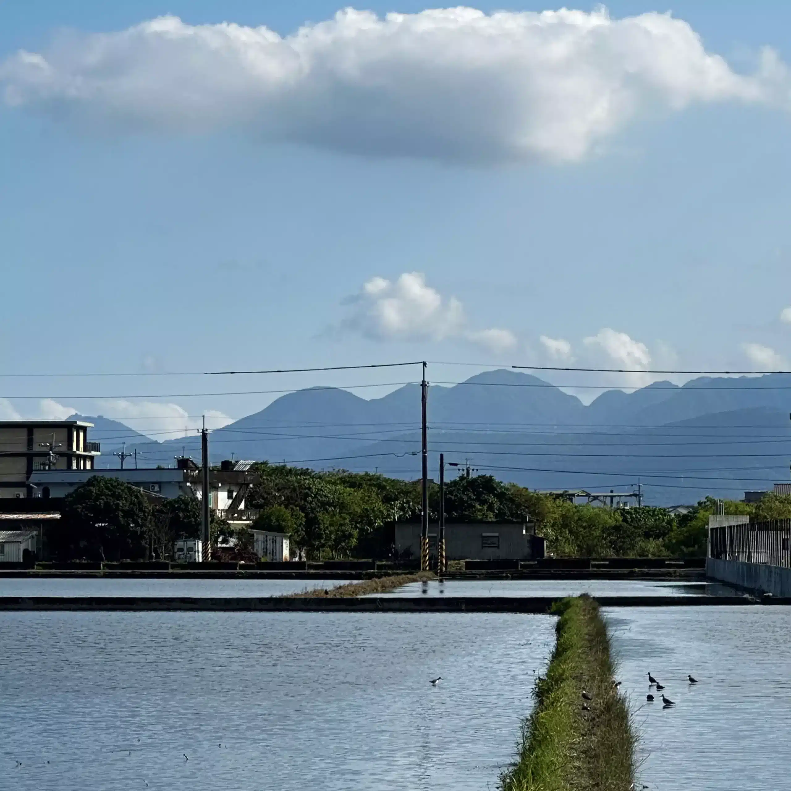 清晨的深溝村田地與山峰