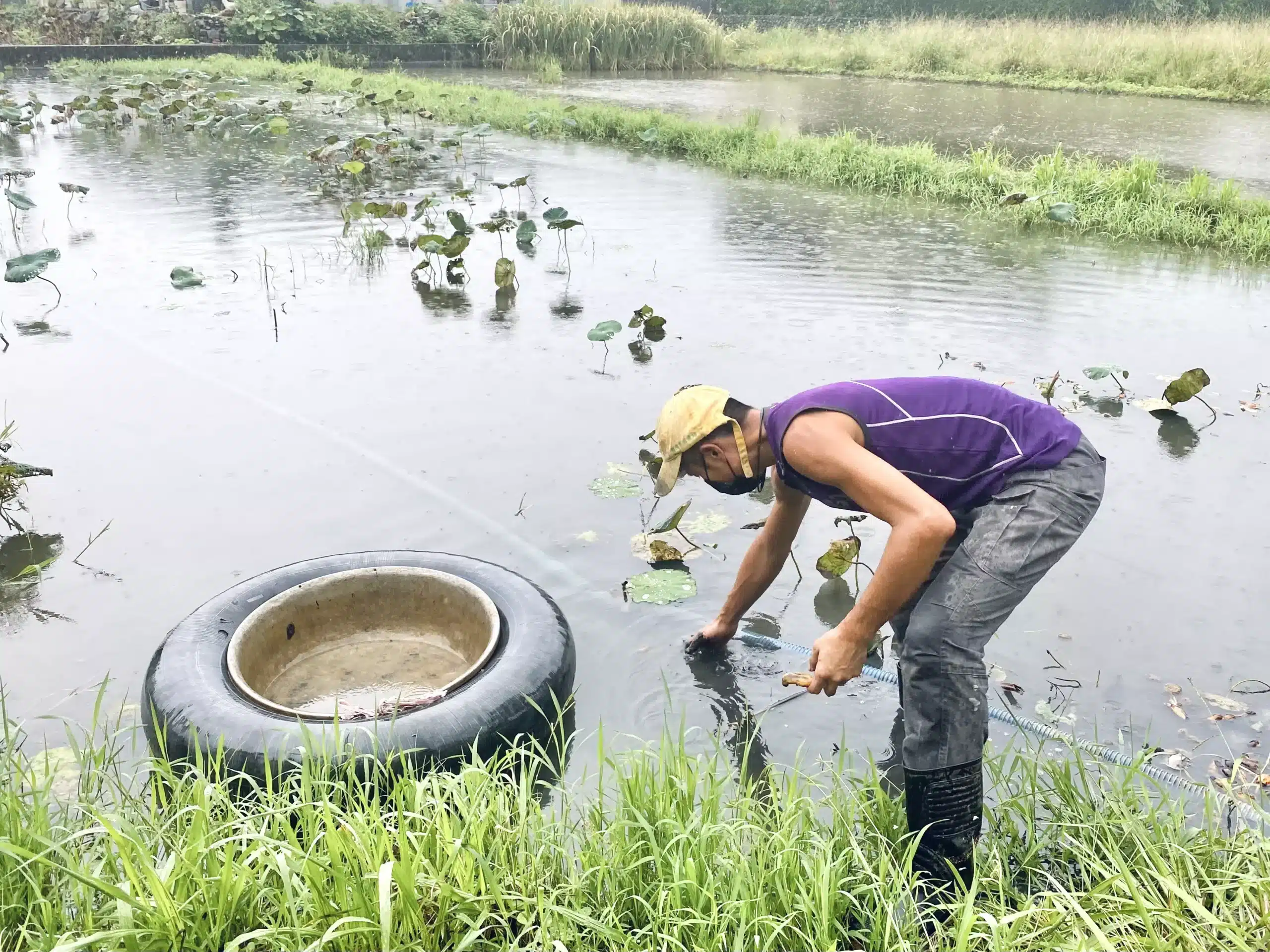 永昇十年前離開半導體產業走入農業