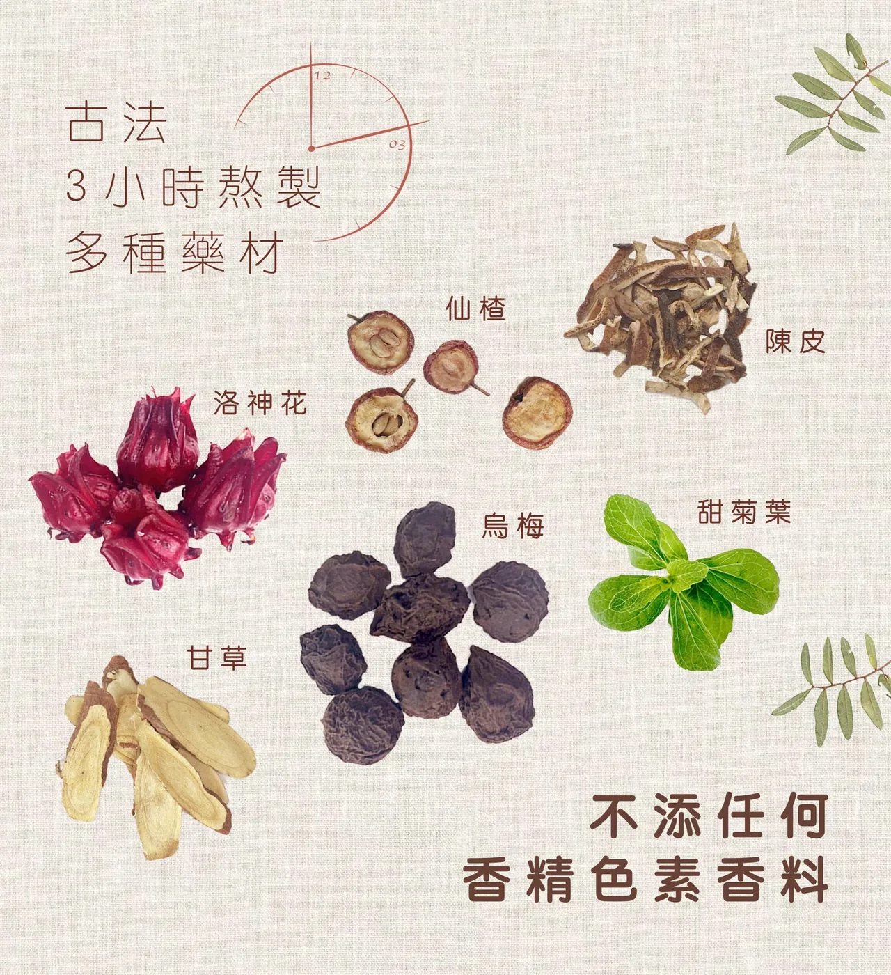 無糖烏梅湯使用的烏梅、洛神花、仙楂、陳皮、甘草與甜菊葉平拍