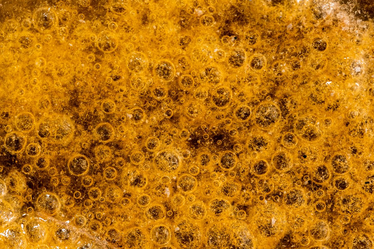 發酵液表面密布金黃色氣泡與菌膜，康普茶靠紅茶菌 SCOBY 發酵而成
