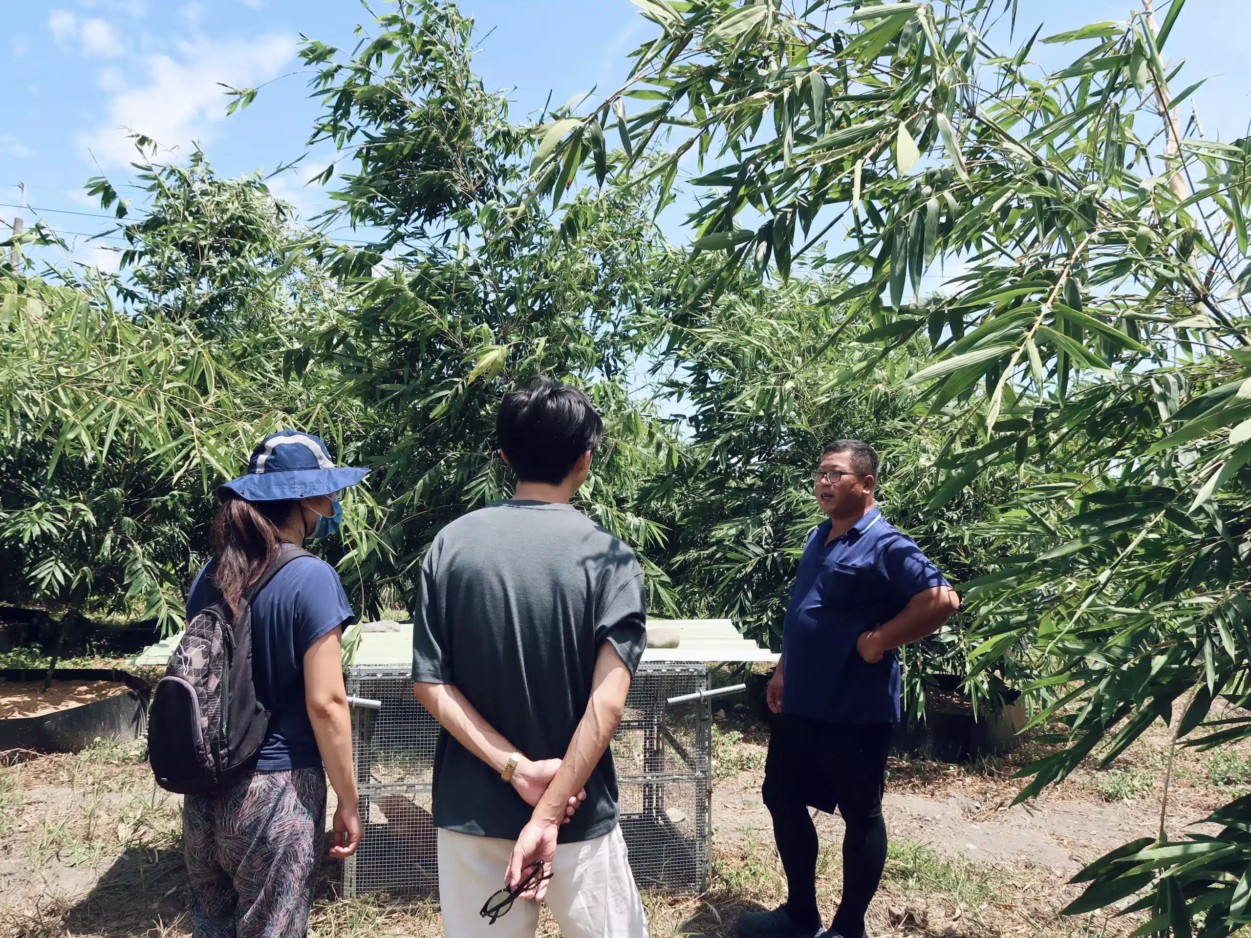 阿立走回阿公以前種花生的田