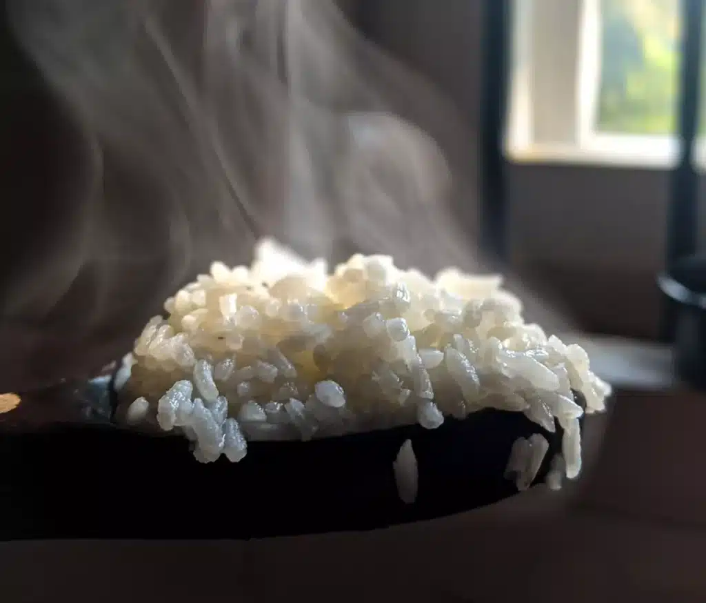 窗邊一碟冒著熱氣的白飯，蓬萊米煮熟後軟Q有彈性