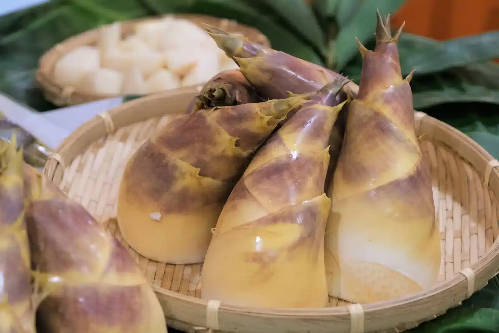 新鮮的綠竹筍，挑對筍再帶殼水煮就能煮出清甜不苦的筍