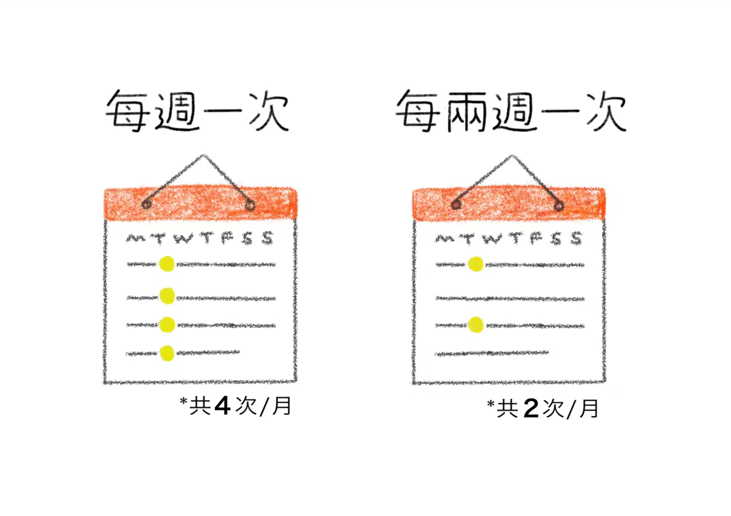 新鮮西洋芹方案