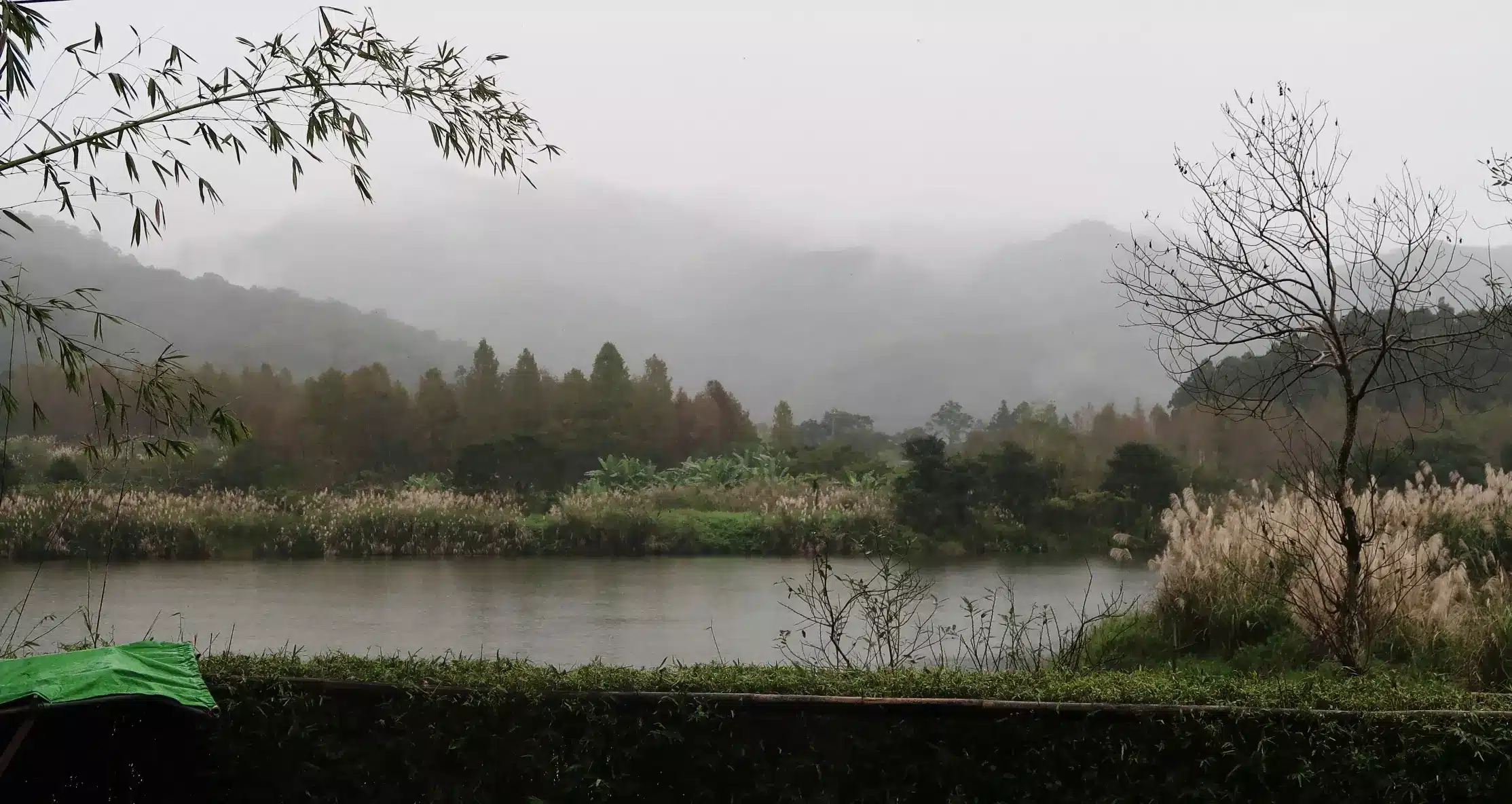 宜蘭雙連埤山中濕地湖景