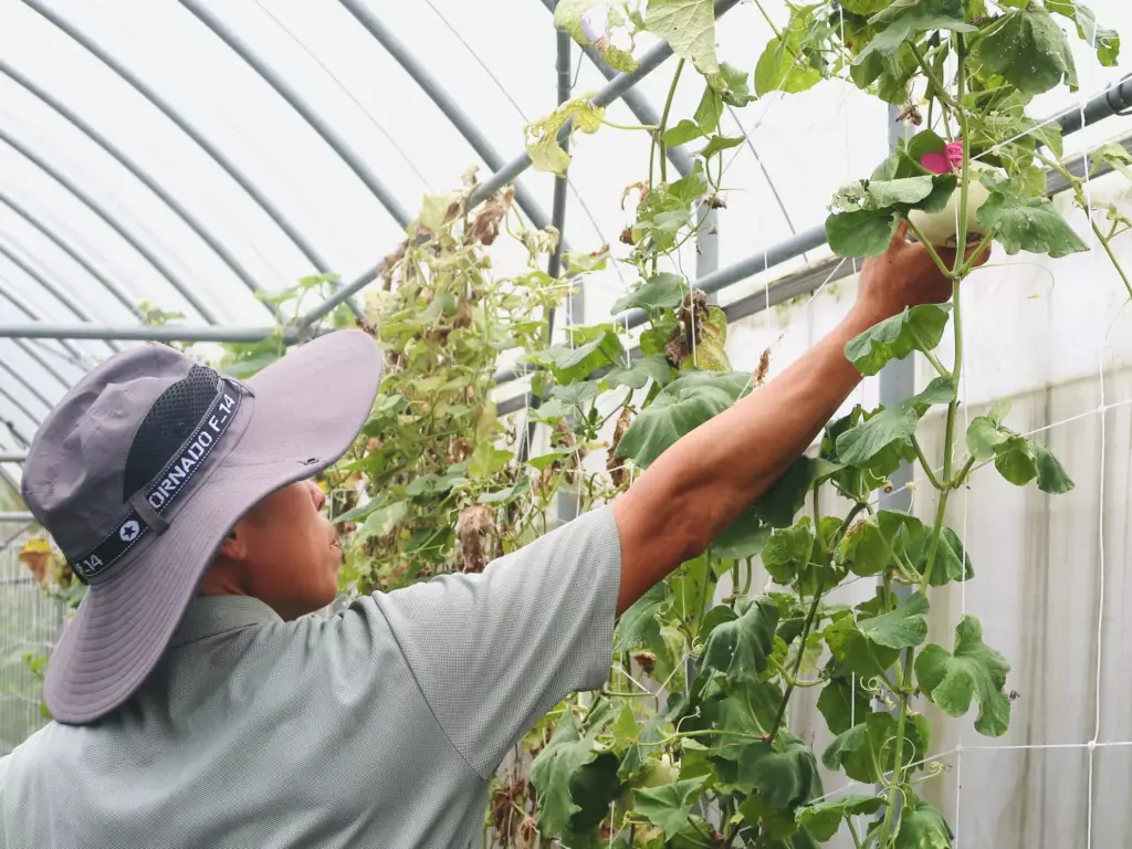 朝棟思念宜蘭遼闊的田野