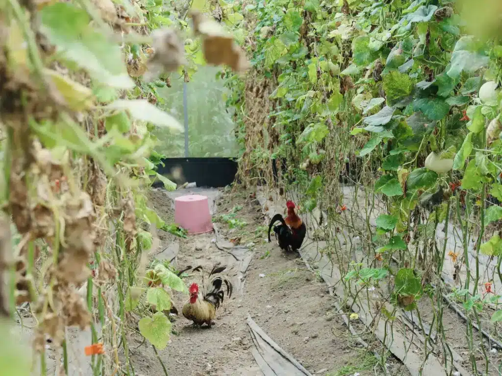 喜歡賞鳥的朝棟希望保留生態