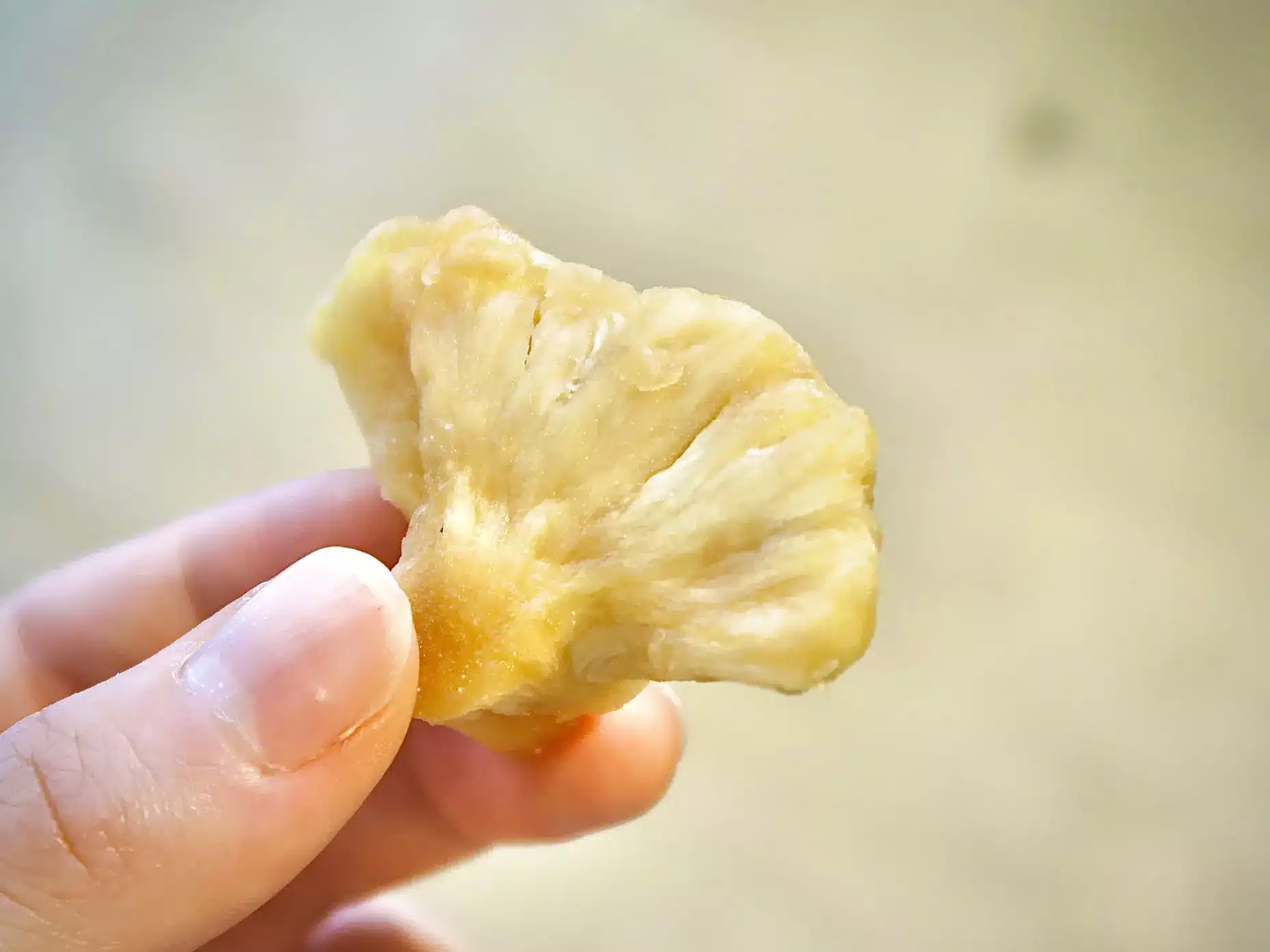 手指捏著一片金黃的鳳梨乾,看得到纖維