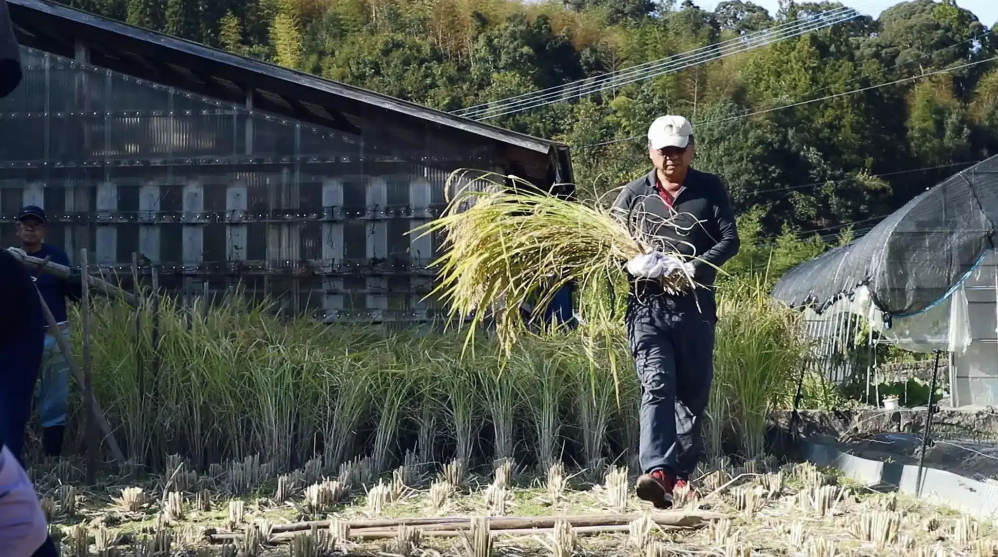 宮崎県美郷町