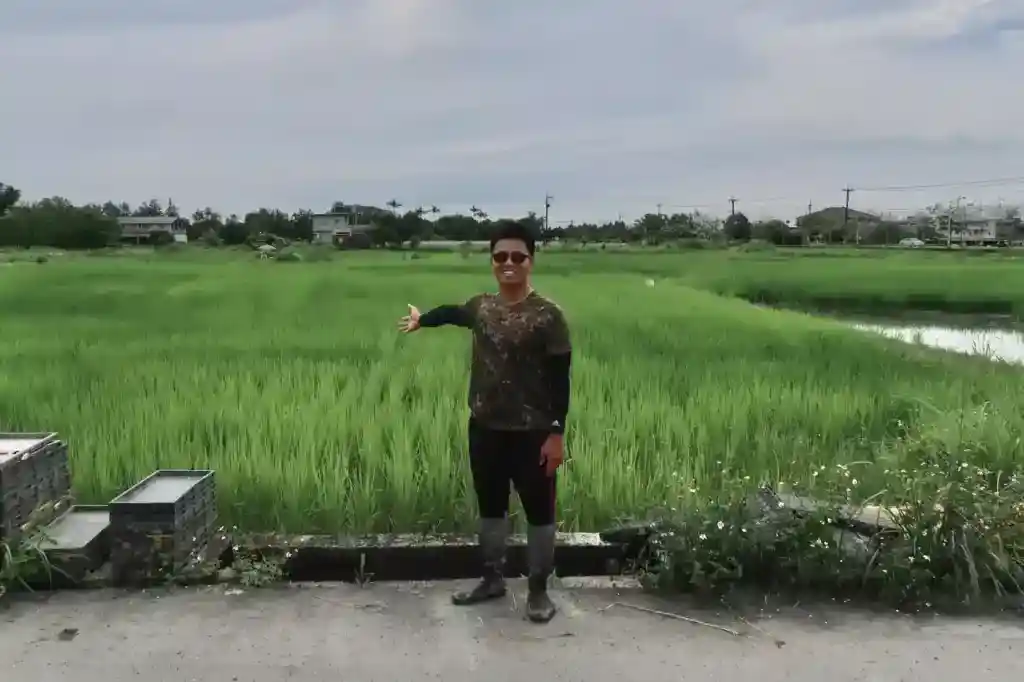 樹仔下
