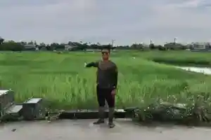 樹仔下