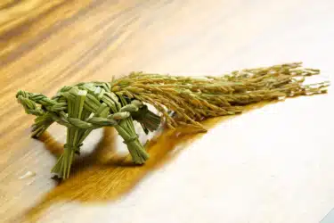 踏挖挖｜手工草編祝龜