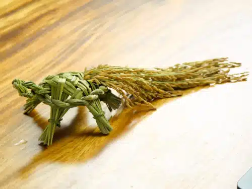踏挖挖｜手工草編祝龜