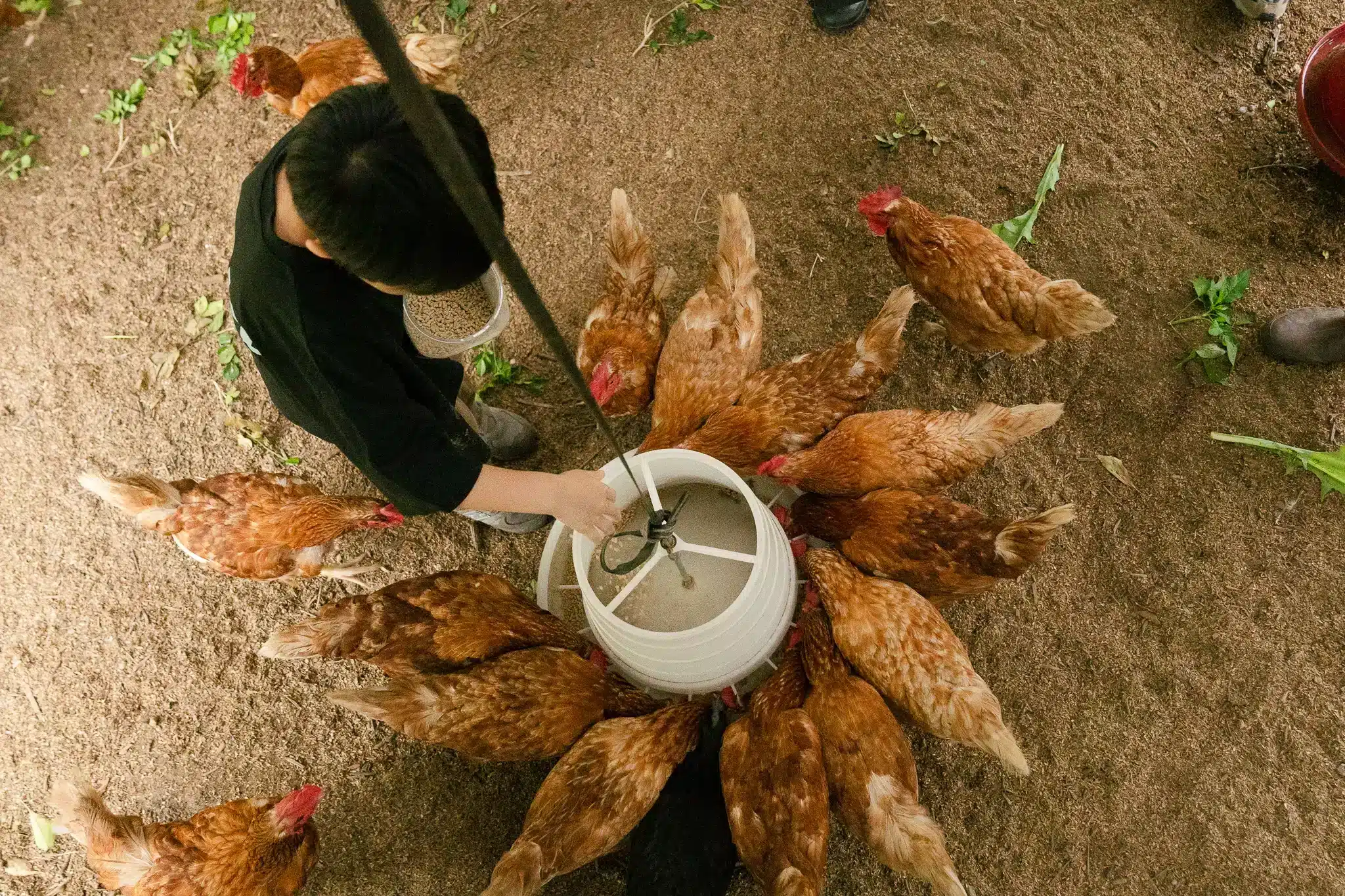 親手撿拾