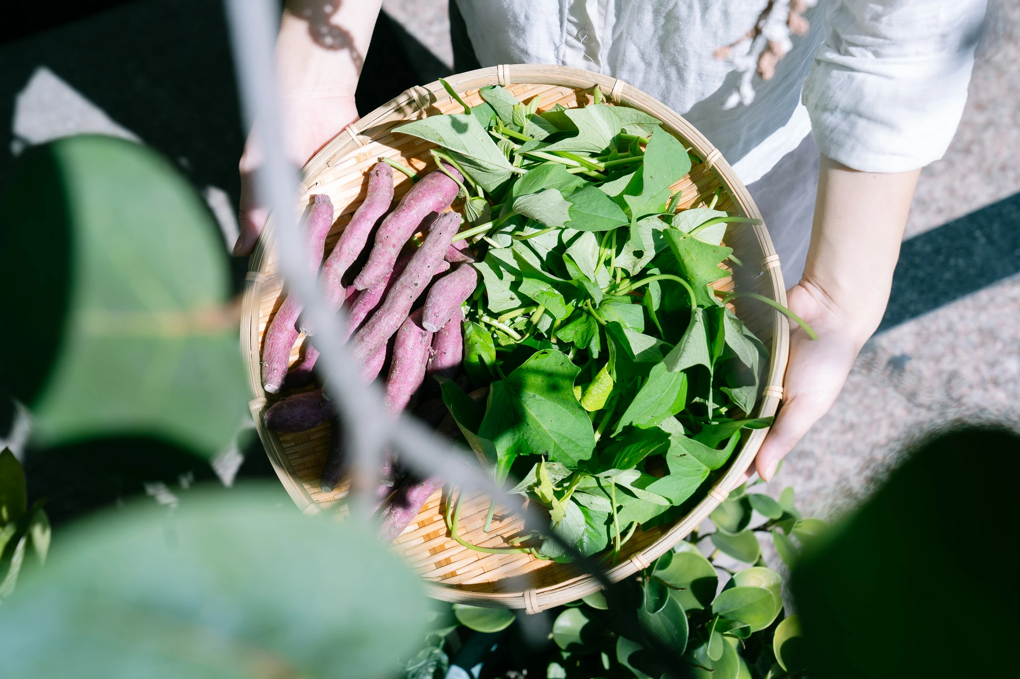 勝美市集第一張合照