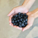 【預購】台灣新鮮藍莓