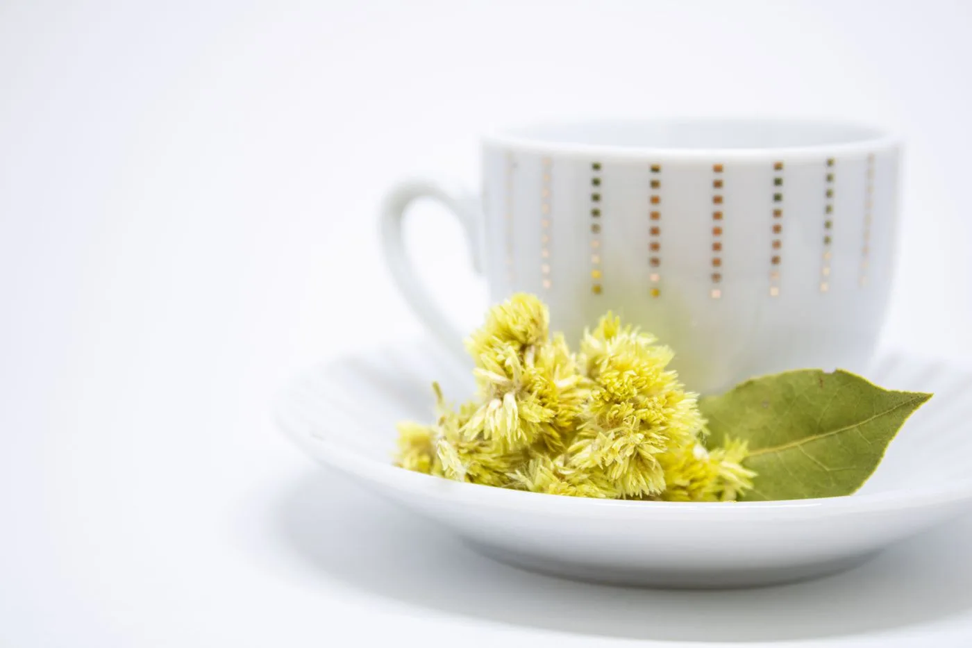 白瓷杯與乾燥花草，麥茶、菊花茶等花草茶天然不含咖啡因
