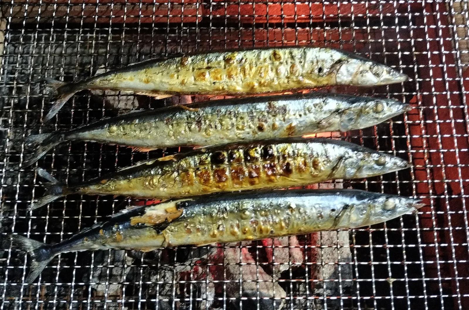 炭火烤網上一整排鹽烤秋刀魚，魚皮金黃焦香、油脂滴進炭火滋滋作響