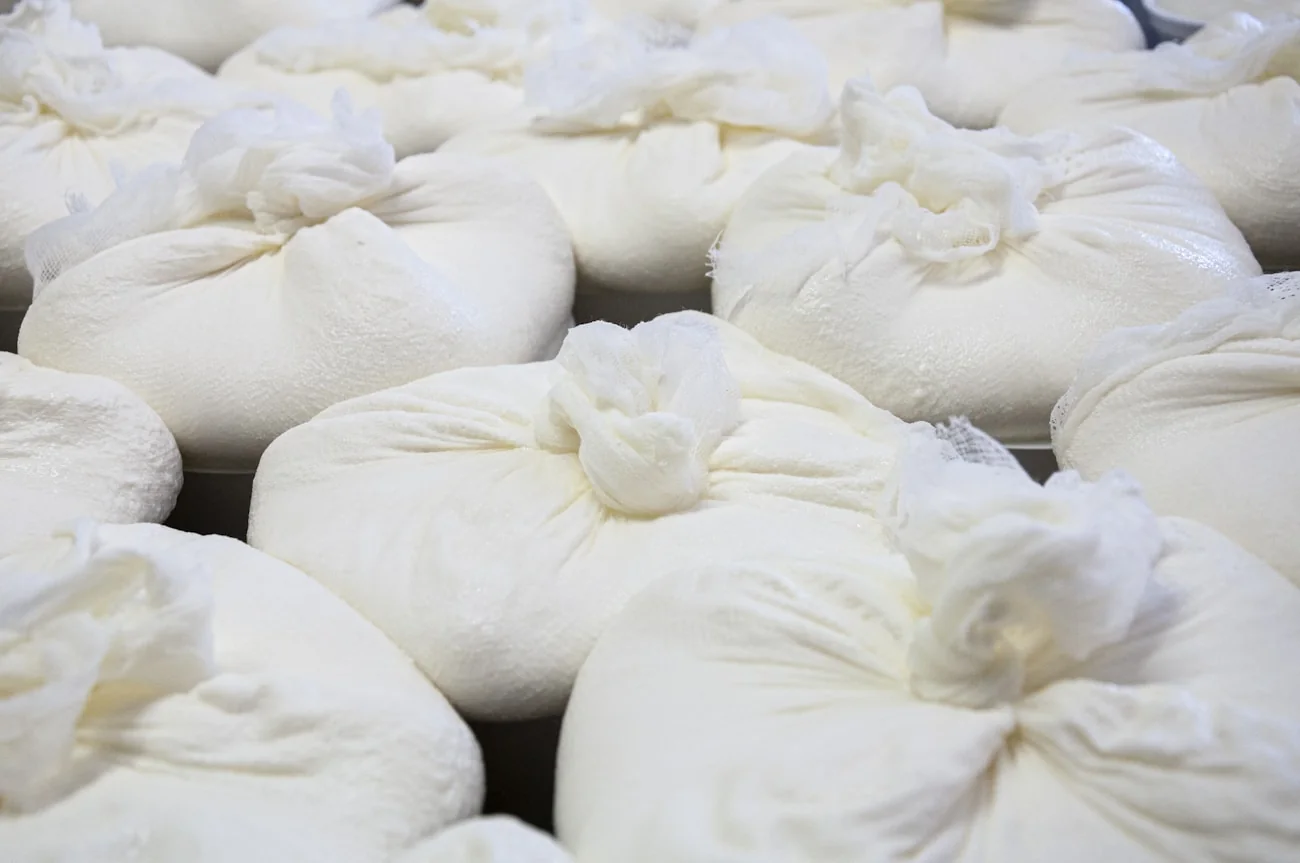 用紗布袋把凝乳的乳清瀝乾，是自製茅屋起司最關鍵的一步