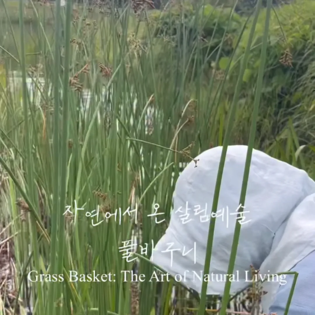 到濕地採集草料（影片）