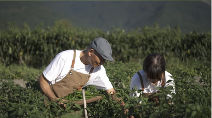 究匠漬|剝皮辣椒-茶油:圖片 3
