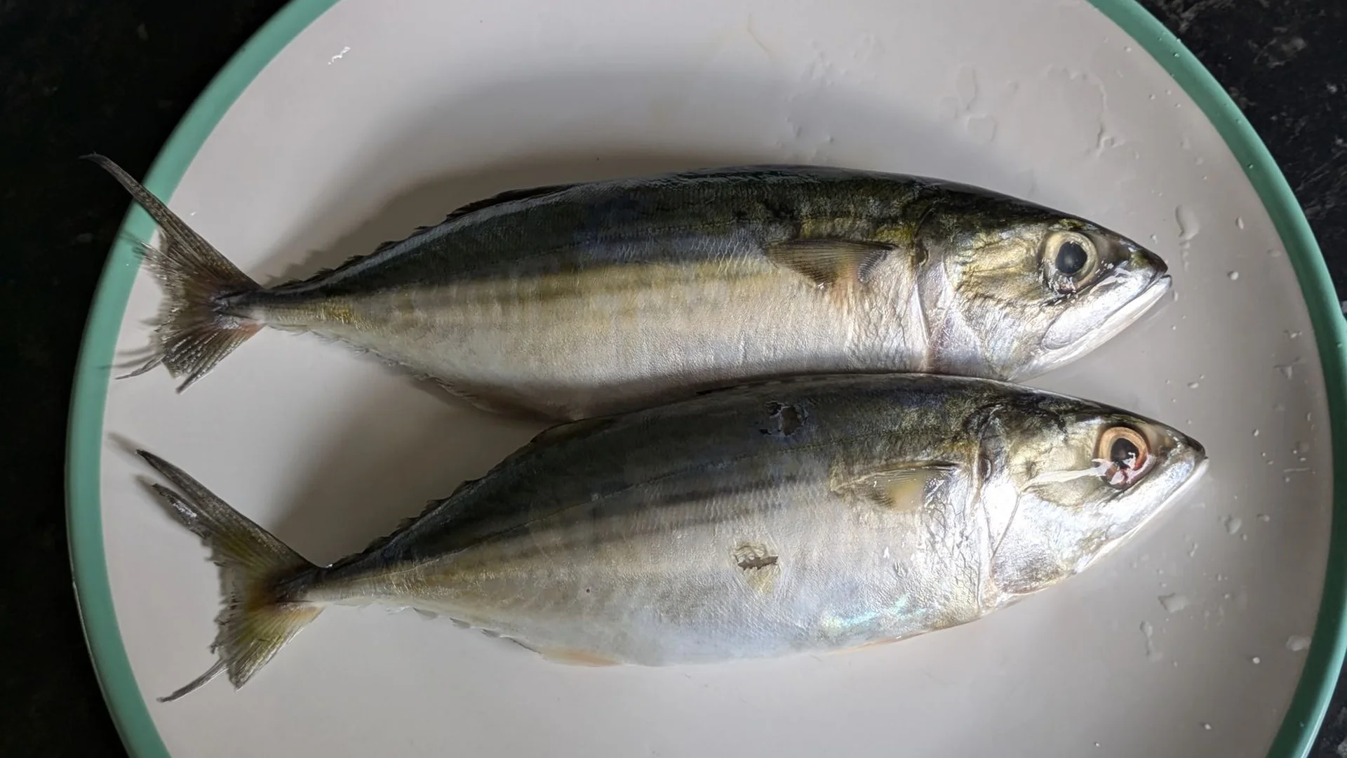 兩尾生鮮鯖魚擺在白盤上，背部條紋清楚可見