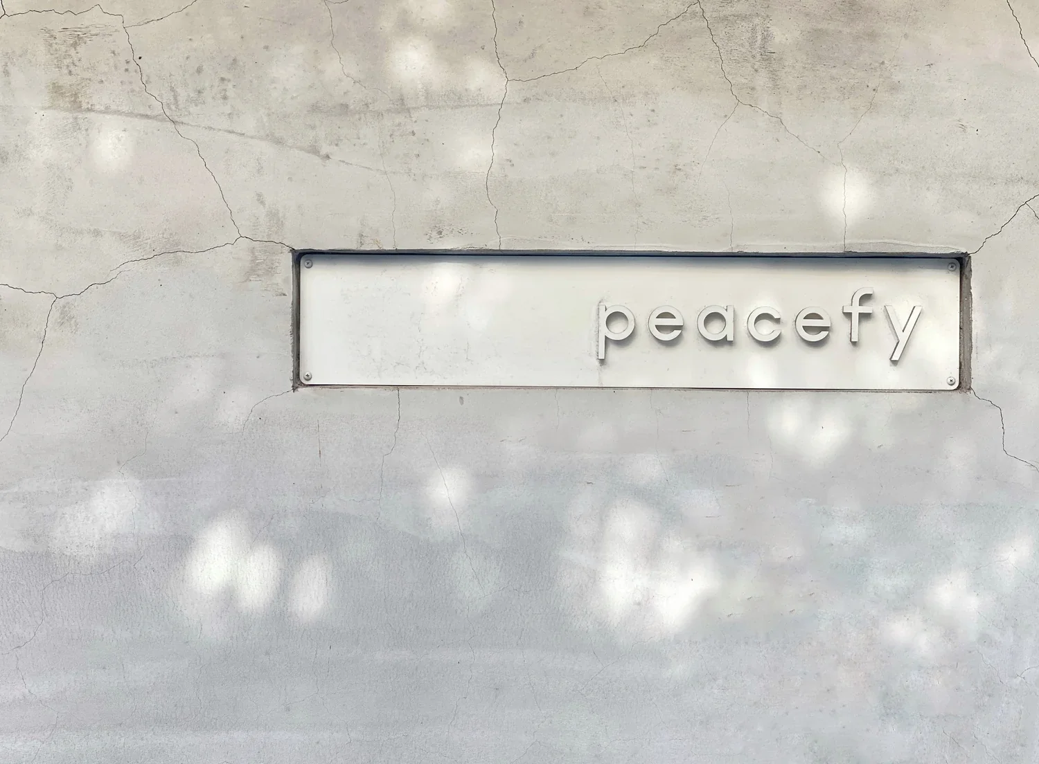 清水模牆面上的 peacefy 品牌招牌,午後樹影灑落在牆上