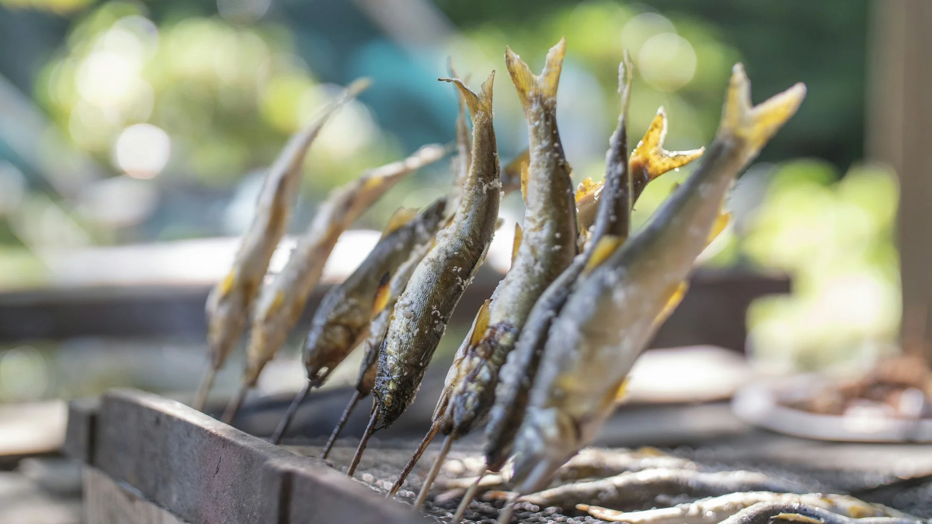 一排串在竹籤上的鹽烤香魚，魚身彎成游動的姿態