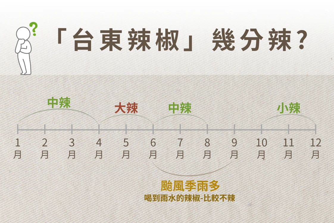台東辣椒幾分辣:各月份採收的辣椒辣度圖卡,颱風季雨多比較不辣