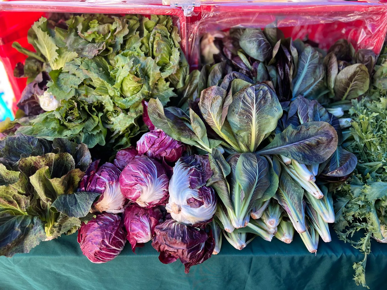 市場攤位上陳列的新鮮生菜、萵苣與各色葉菜，選購時可留意有機標章與產地資訊