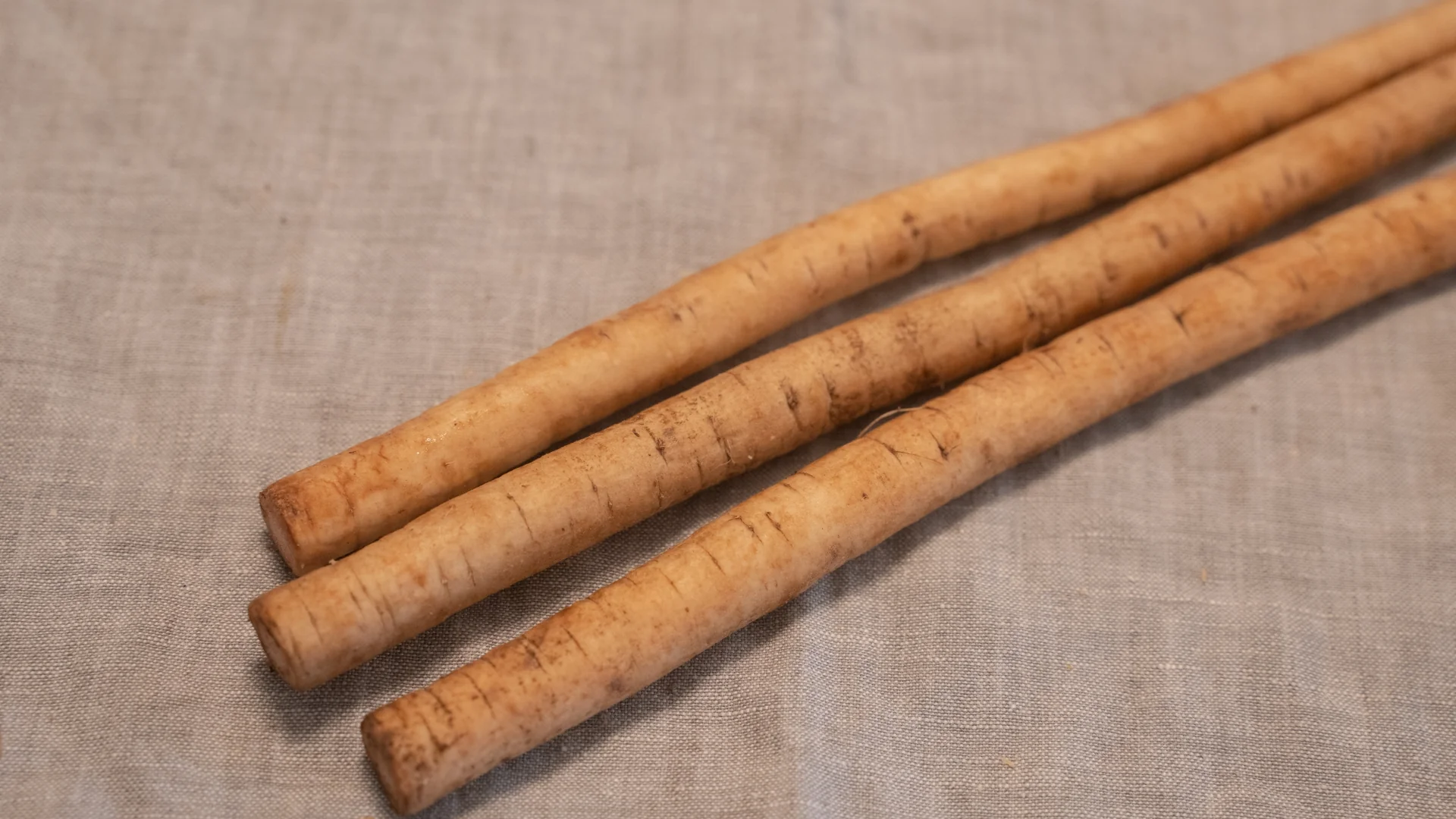 三支洗乾淨的牛蒡並排放在亞麻布上，表皮呈淺褐色，看得出圓徑細、粗細一致的樣子