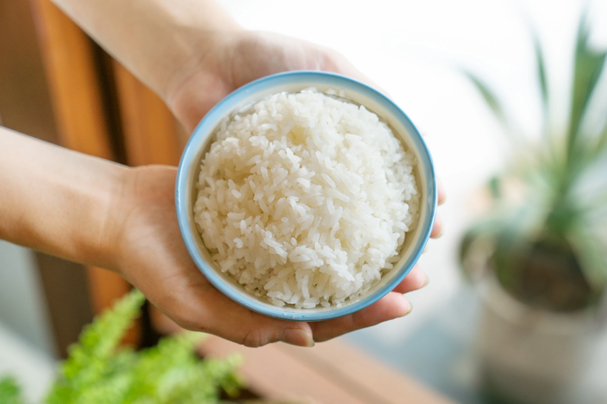 一碗煮好的米飯