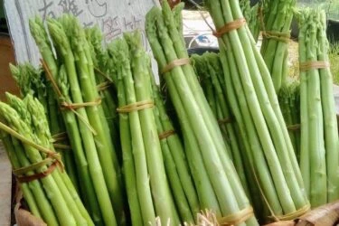 【季節限定】大摳樂園｜友善蘆筍4份