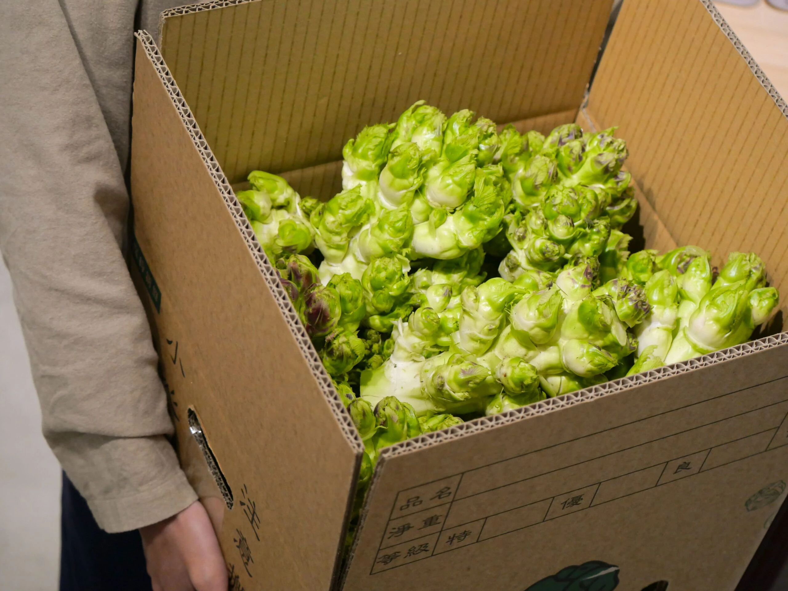 【季節限定】高山翡翠娃娃菜