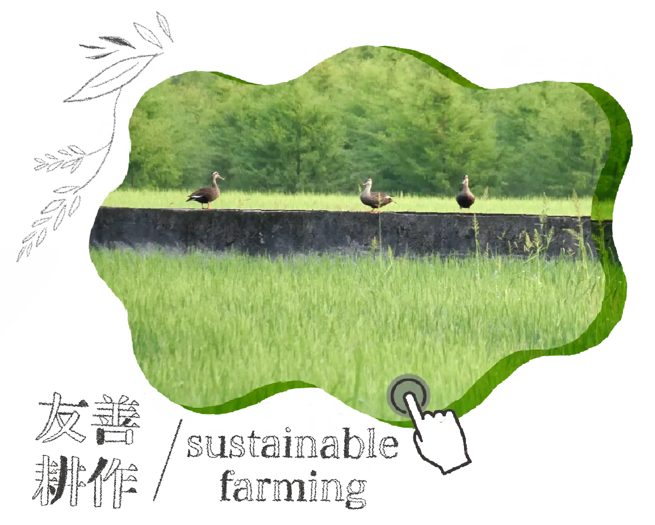 友善耕作 sustainable farming