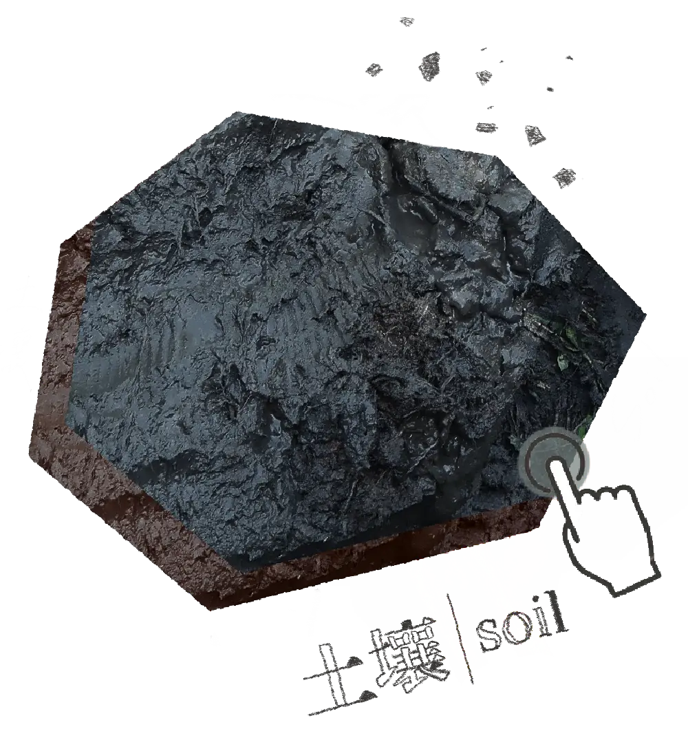 土壤 soil