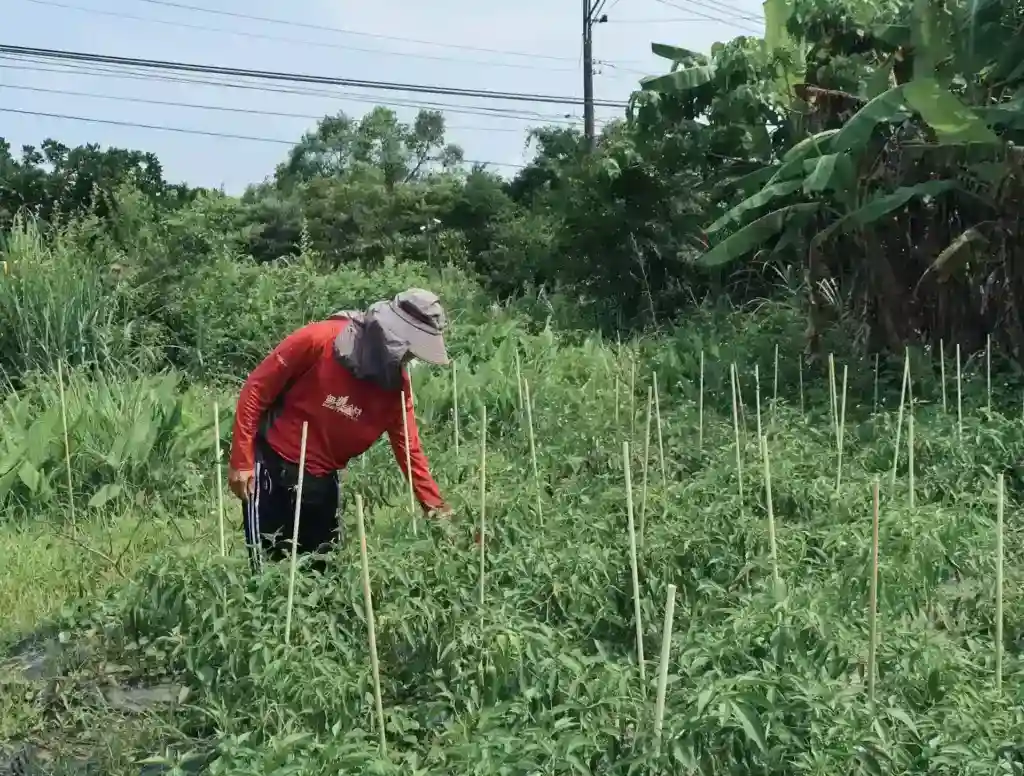 康富厚