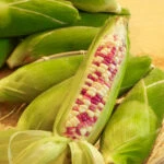 【季節限定】產銷履歷 彩虹玉米7斤