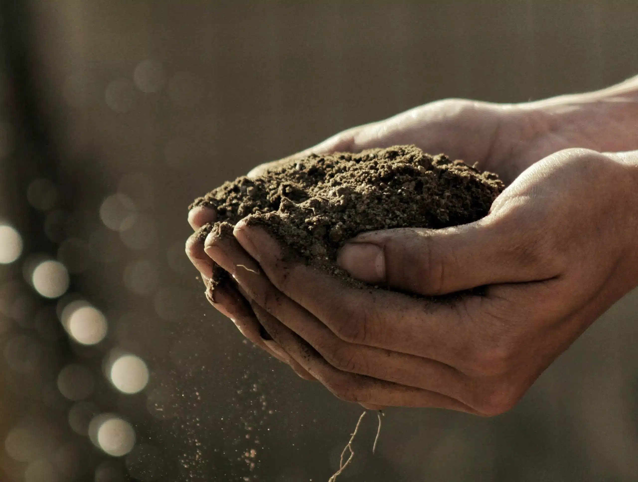 重視土壤健康與生態永續的有機農業