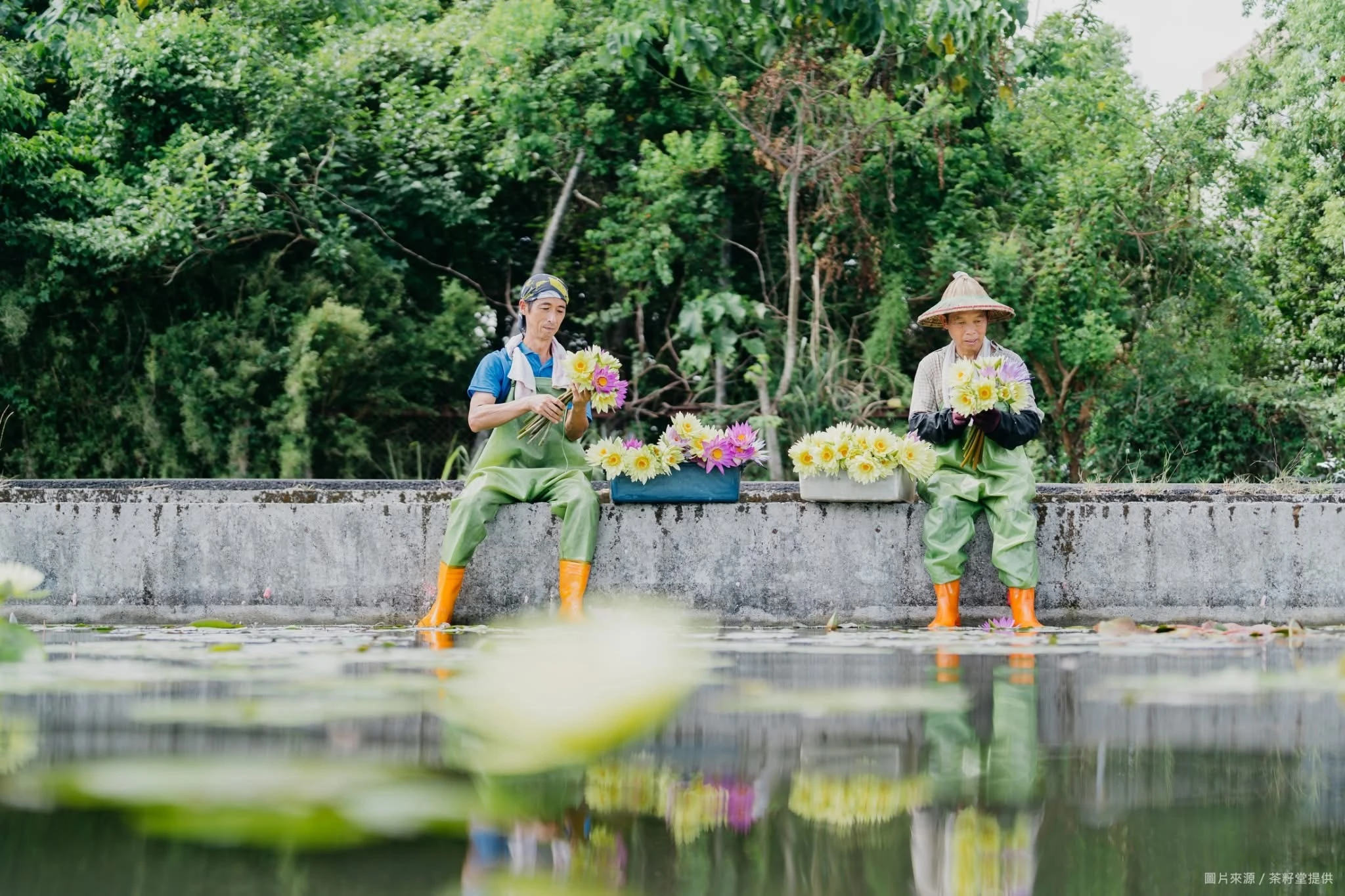 松滿緣有機農場實景