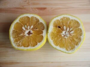 勝美合作小農蜜釀柚子醋商品圖