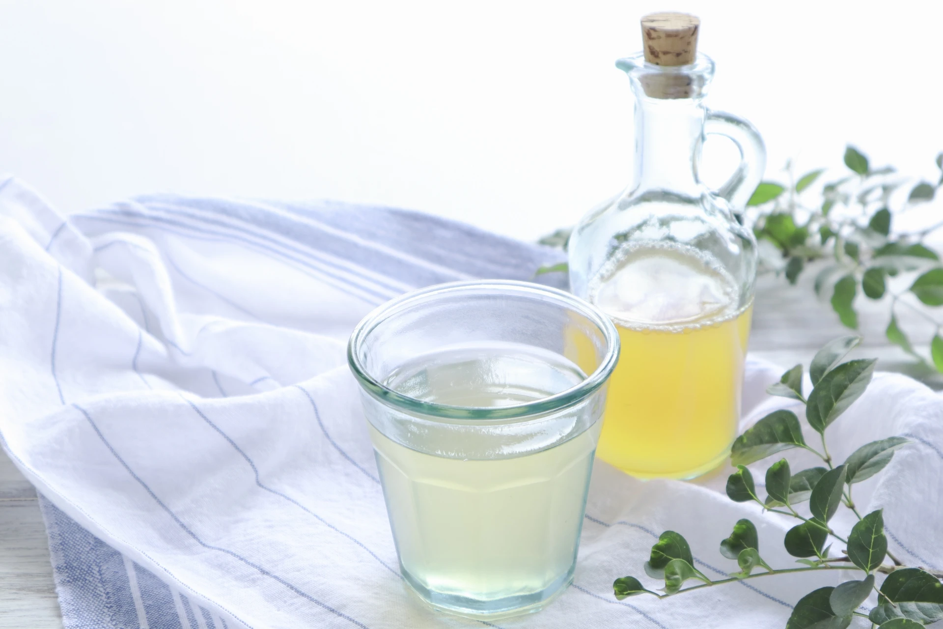 水果醋家族：蘋果醋、梅子醋、柚子醋的差異