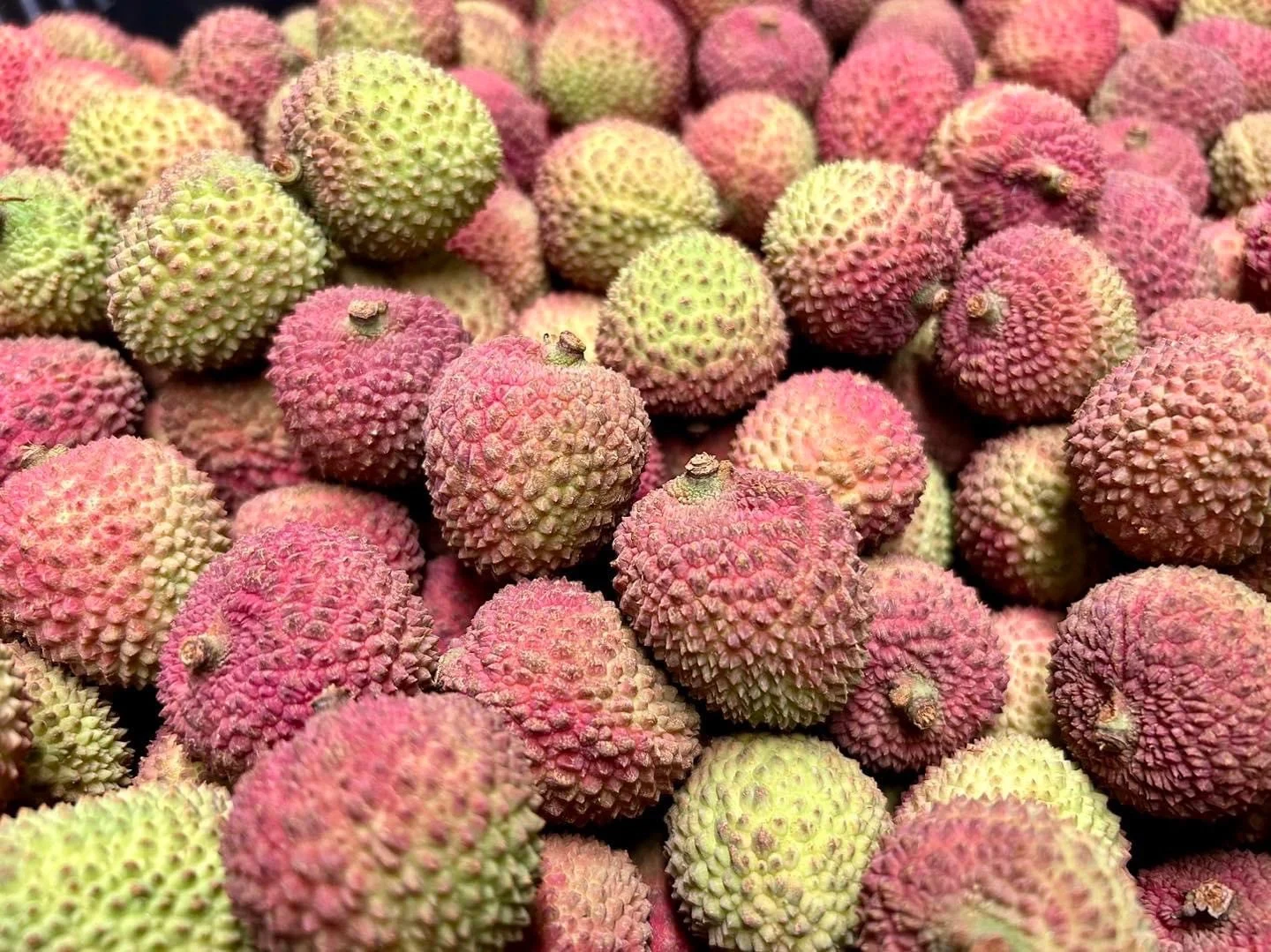 【預購】老叢頂級自然甜玉荷包
